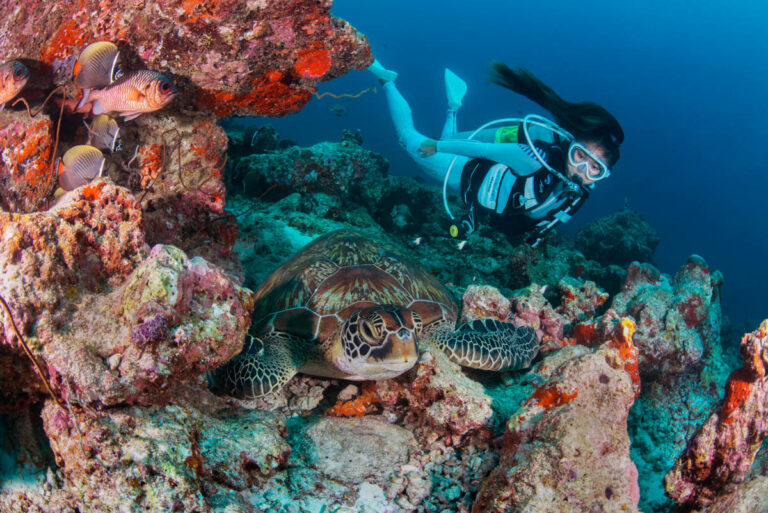 Maldives nổi tiếng với những rặng san hô đầy màu sắc và đa dạng sinh vật biển.