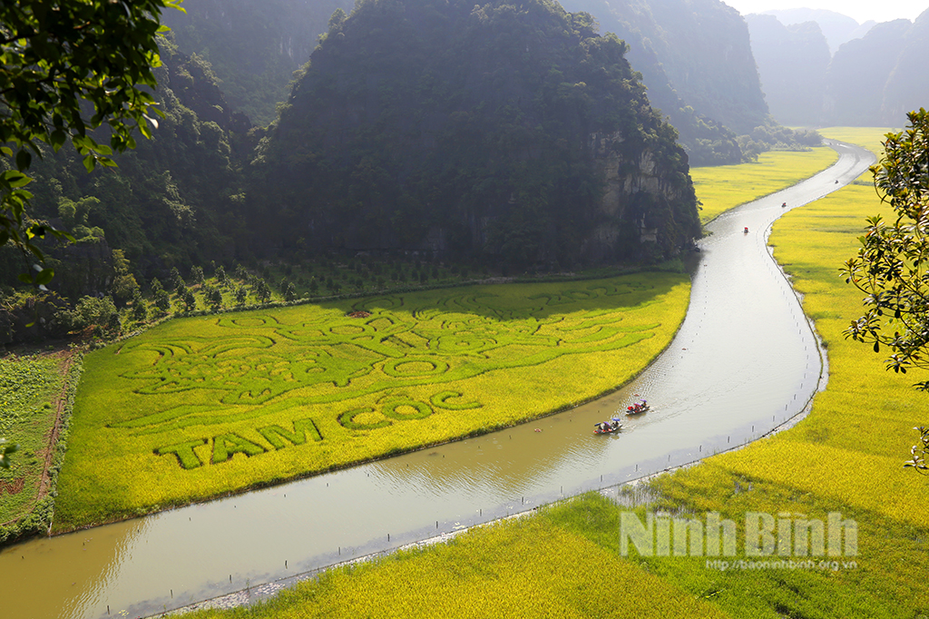 Đi Ninh Bình mặc gì đi khám phá đồng lúa ở Tam Cốc.