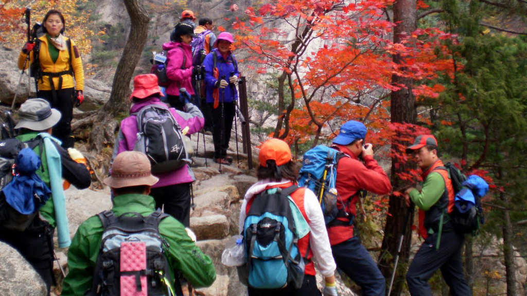 Trekking đang dần trở thành một đặc sản quốc gia của xứ Hàn